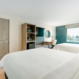 Queen Suite Two Queen Beds Sofa Bed